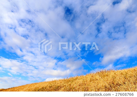 Sky and bank 27608766