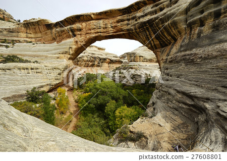 Natural Bridge 27608801
