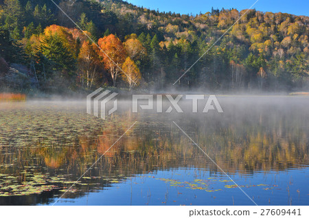秋葉的Ozenuma射擊asahi 27609441