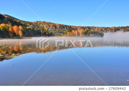 Autumn colors reflection Ozenuma 27609442