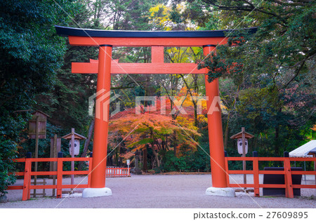 京都Shimogami神社Torii和秋葉 27609895