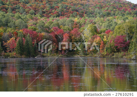 Autumn leaves in Canada Autumn leaves in Canada 27610291