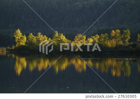 Forest of Canada Forest of Canada 27610305