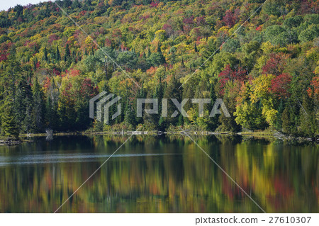 Autumn leaves in Canada 27610307