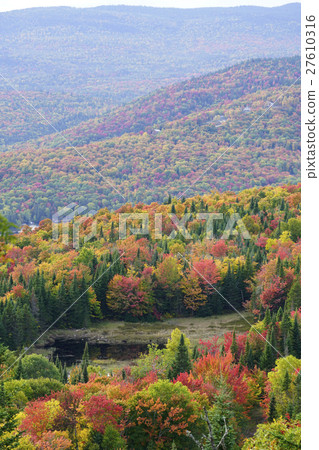 Autumn leaves in Canada 27610316