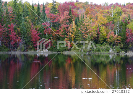 Autumn leaves in Canada 27610322