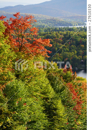 秋葉在加拿大 27610330