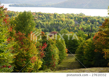 Autumn leaves in Canada 27610332