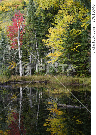 Autumn leaves in Canada 27610346