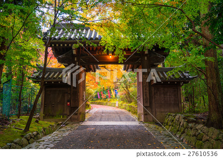 Autumn leaves of Kyoto Akayama Zenin Autumn leaves of Kyoto Akayama Zenin 27610536