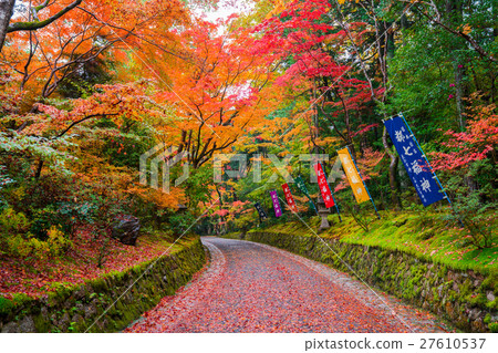 Autumn leaves of Kyoto Akayama Zenin 27610537
