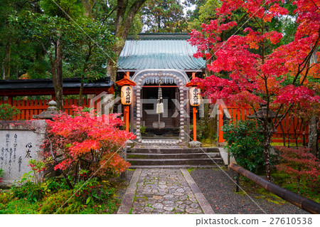 Autumn leaves of Kyoto Akayama Zenin Autumn leaves of Kyoto Akayama Zenin 27610538