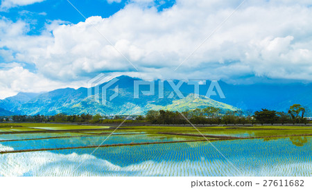 伯朗大道 稻田美景 27611682