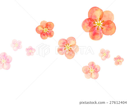 梅花水彩 梅花水彩 27612404