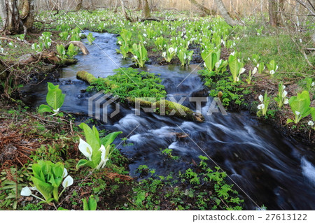 Water Basho group 27613122