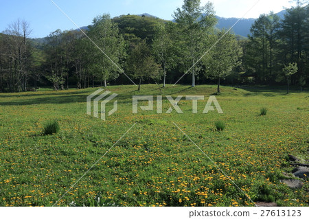 Spring landscape 27613123