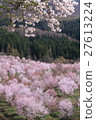 Sakura no Sato 27613224
