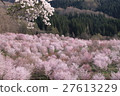 Sakura no Sato 27613229