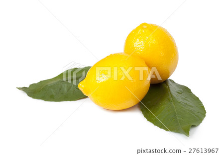 Lemons with leaves Lemons with leaves 27613967