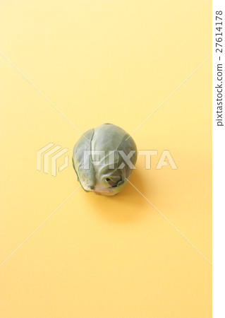 球芽甘藍 球芽甘藍 27614178