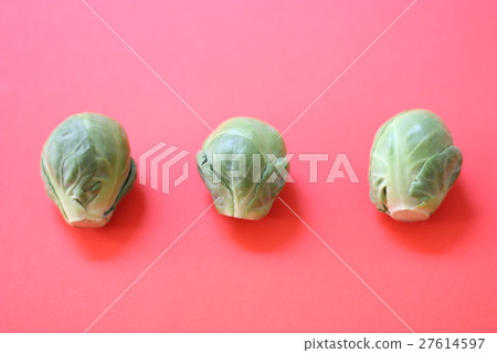 Brussels sprouts Brussels sprouts 27614597