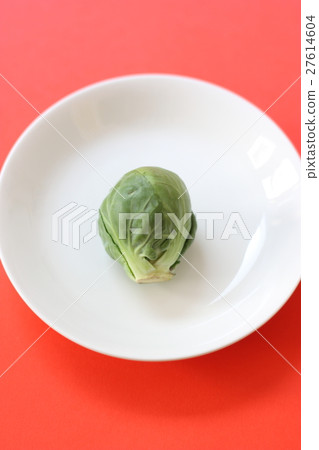 球芽甘藍 球芽甘藍 27614604