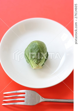 球芽甘藍 球芽甘藍 27614605