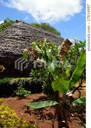 Polynesia culture.. 27614997