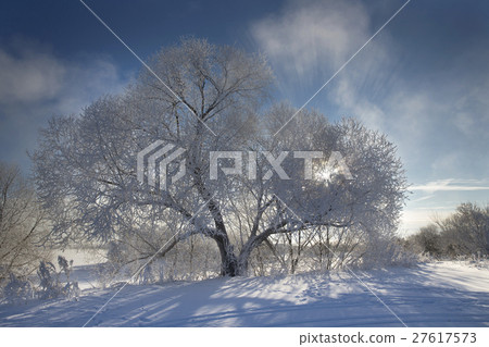 Beautiful winter landscape with snow covered trees Beautiful winter landscape with snow covered trees 27617573