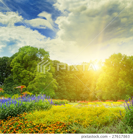 圖庫照片: summer park with beautiful flowerbeds