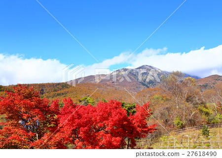 Yatsugatake and autumn leaves 27618490