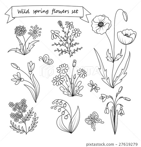 Set of hand drawn wild spring flowers. Vector - Stock Illustration ...