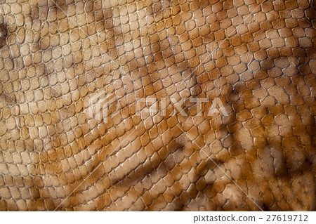 Texture of genuine leather close-up, embossed Texture of genuine leather close-up, embossed 27619712