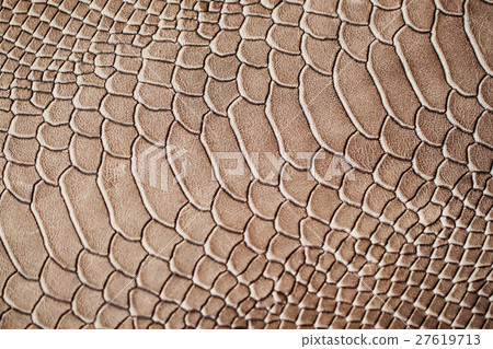 Texture of exotic genuine leather close-up 27619713