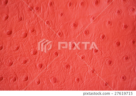 Texture of genuine Ostrich Stamped leather close Texture of genuine Ostrich Stamped leather close 27619715