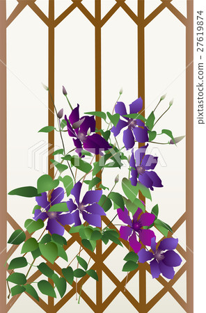 Flowers of clematis. Vector, gradient. Flowers of clematis. Vector, gradient. 27619874