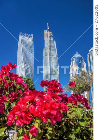Dubai Marina with flowers against skyscrapers, UAE 27622005