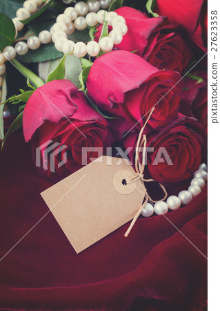 red roses on velvet 27623358