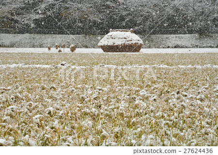 我的Numata稻田：Kataya Shinda Funano的降雪 27624436