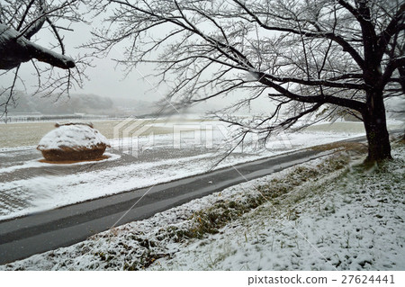 我的Numata稻田：Kataya Shinda Funano的降雪 27624441