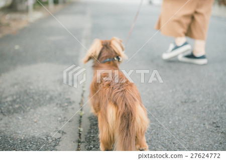 毛小孩 毛孩 寵物 27624772