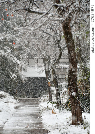 Meanuma paddy: private house of snowfall Meanuma paddy: private house of snowfall 27624975