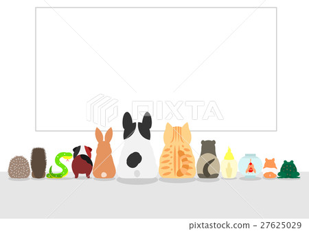 寵物秀在大板後面 27625029