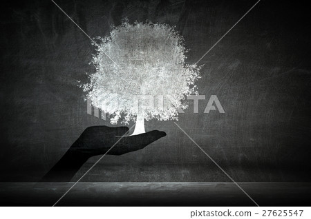 Forestation and flora concept 27625547