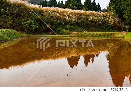 National highway No. 405 in autumn Rice terrace in Joetsu city 27625841