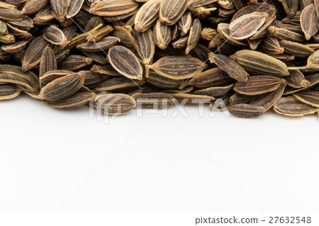 Dill seed: Dill seed 27632548