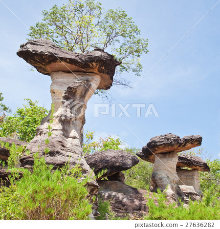 Mushroom stone and blue sky in the national park 27636282