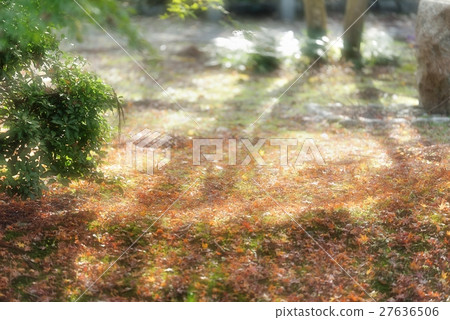 讓我想起希望的光芒 27636506