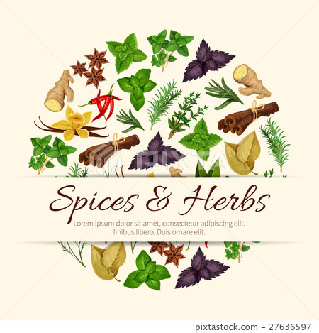 Stock Illustration: Spices and herbs vector poster