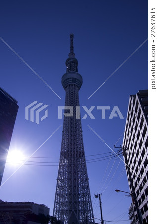 東京天空樹晴朗的天藍色 東京天空樹晴朗的天藍色 27637615